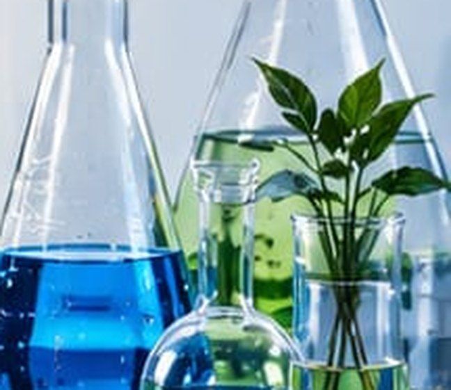 Laboratory glassware at Vean’s Life Sciences